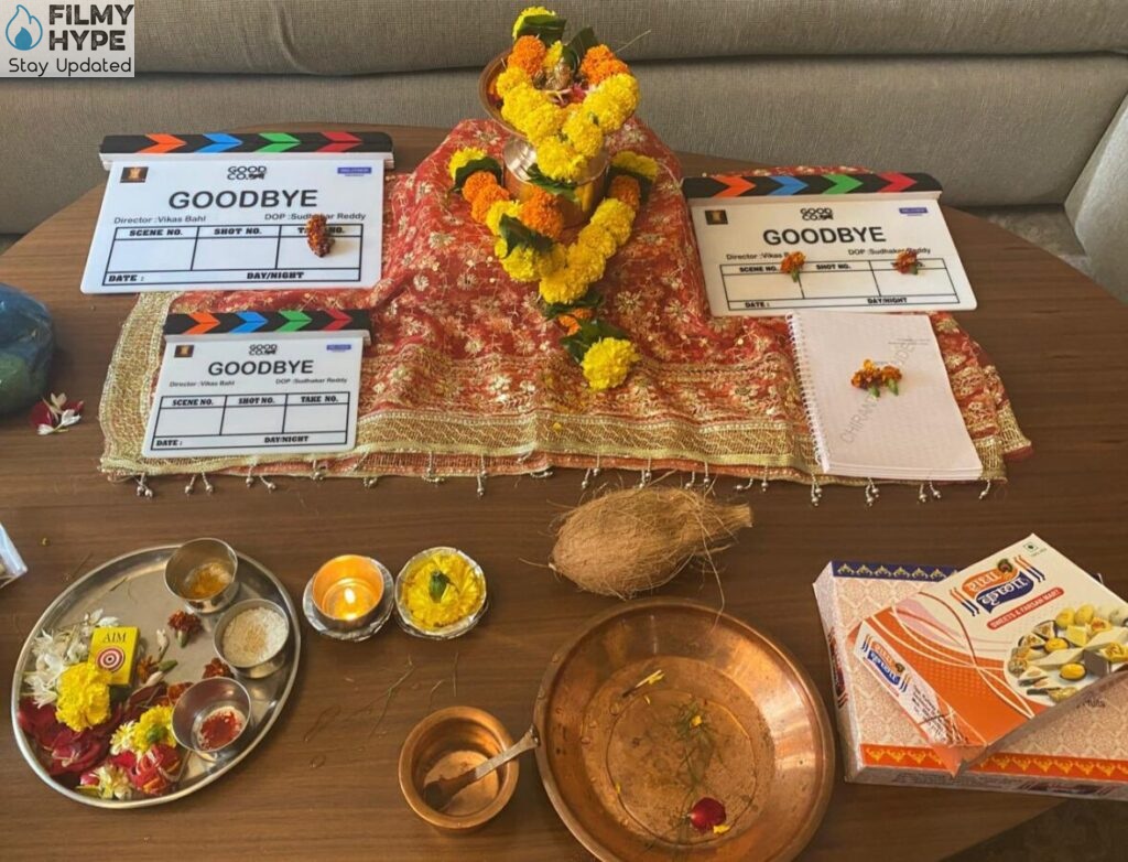 Goodbye Shooting Rashmika