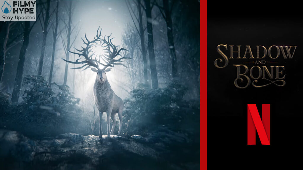 Shadow and Bone Series Review