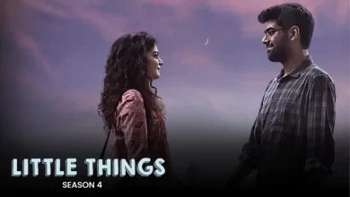 Little Things Season 4 Review