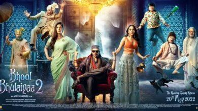 Bhool Bhulaiyaa 2 Critics Review