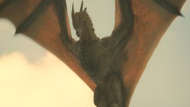 Can Dragons In Game Of Thrones Really Fly