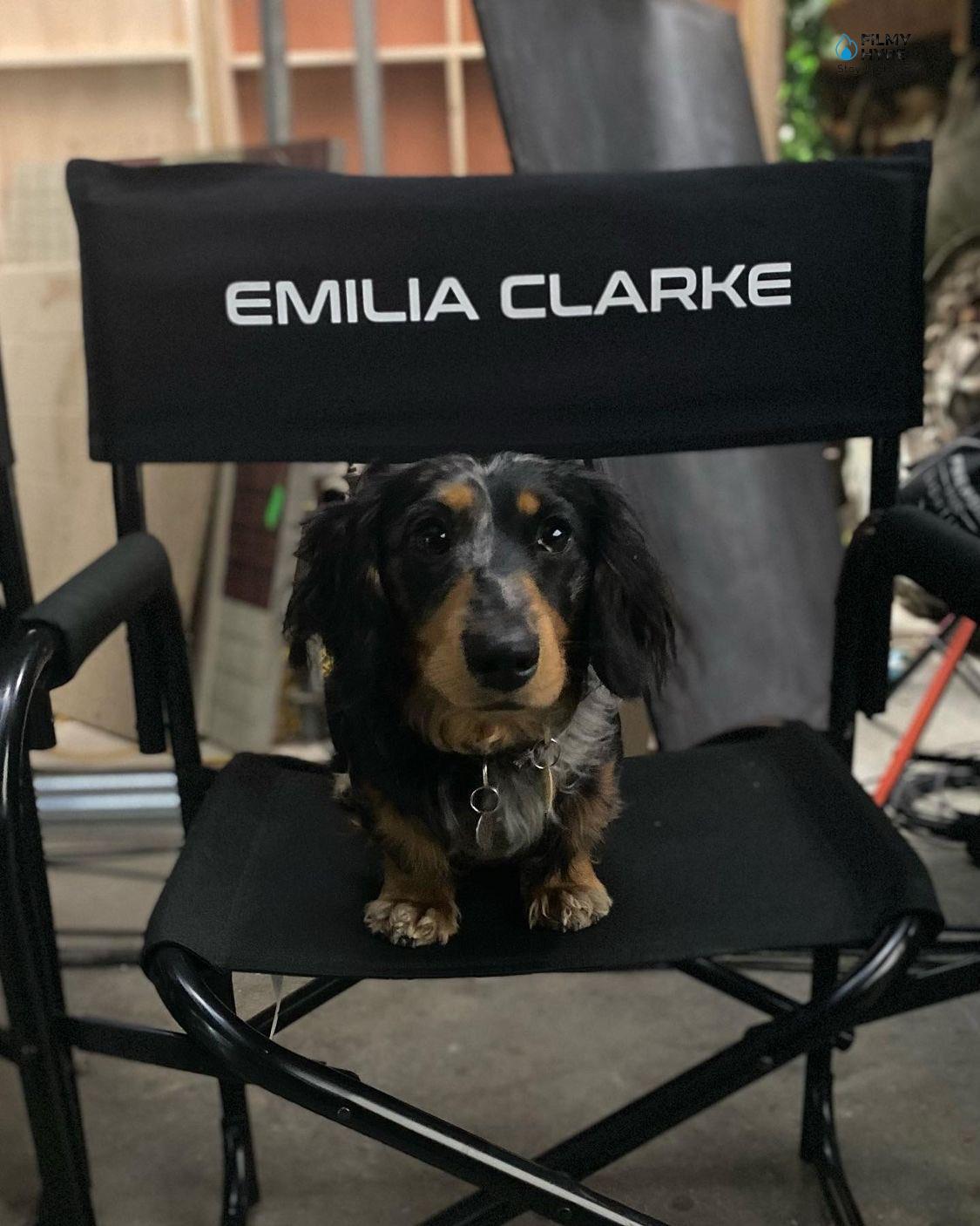 Secret Invasion Emilia Clarks Dog