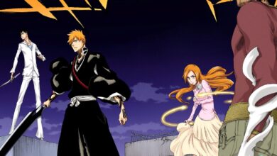 Ichigo's allies on Earth