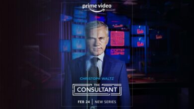 The Consultant