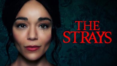 The Strays Review