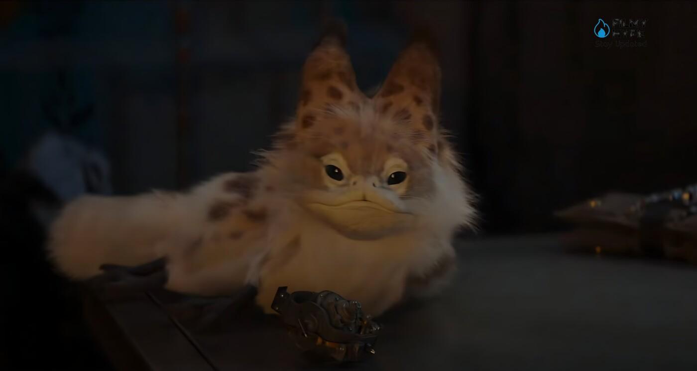 Loth Cat