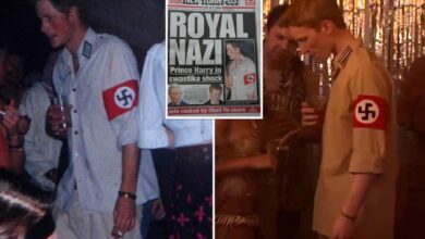 Harry's Nazi Costume