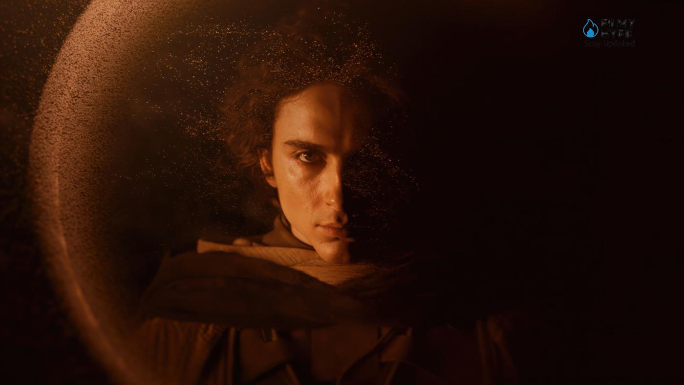 Timothee Chalamet In Dune 2