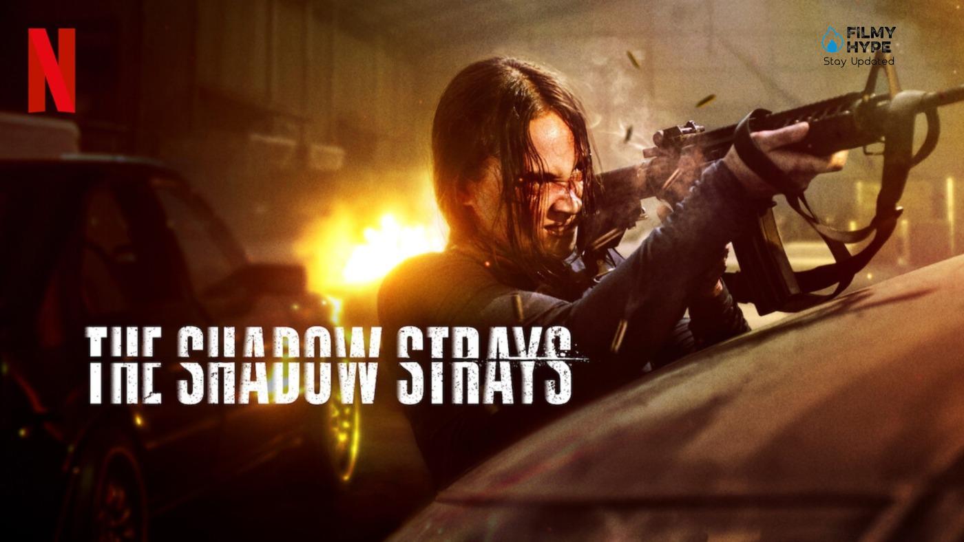 The Shadow Strays Review