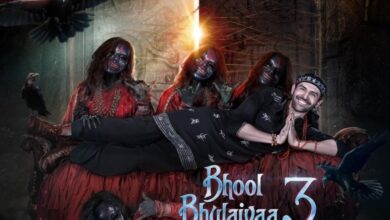 Bhool Bhulaiyaa 3 Review