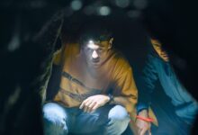 The Survivors Netflix