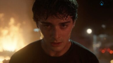 Stranger Things Season 5 Vol 1 Will