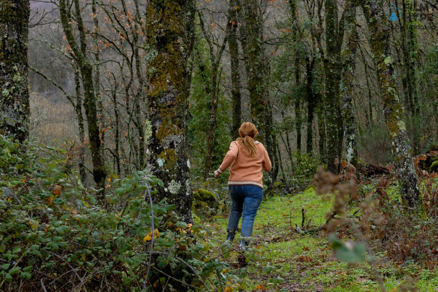 The Crystal Cuckoo First Look Image 9