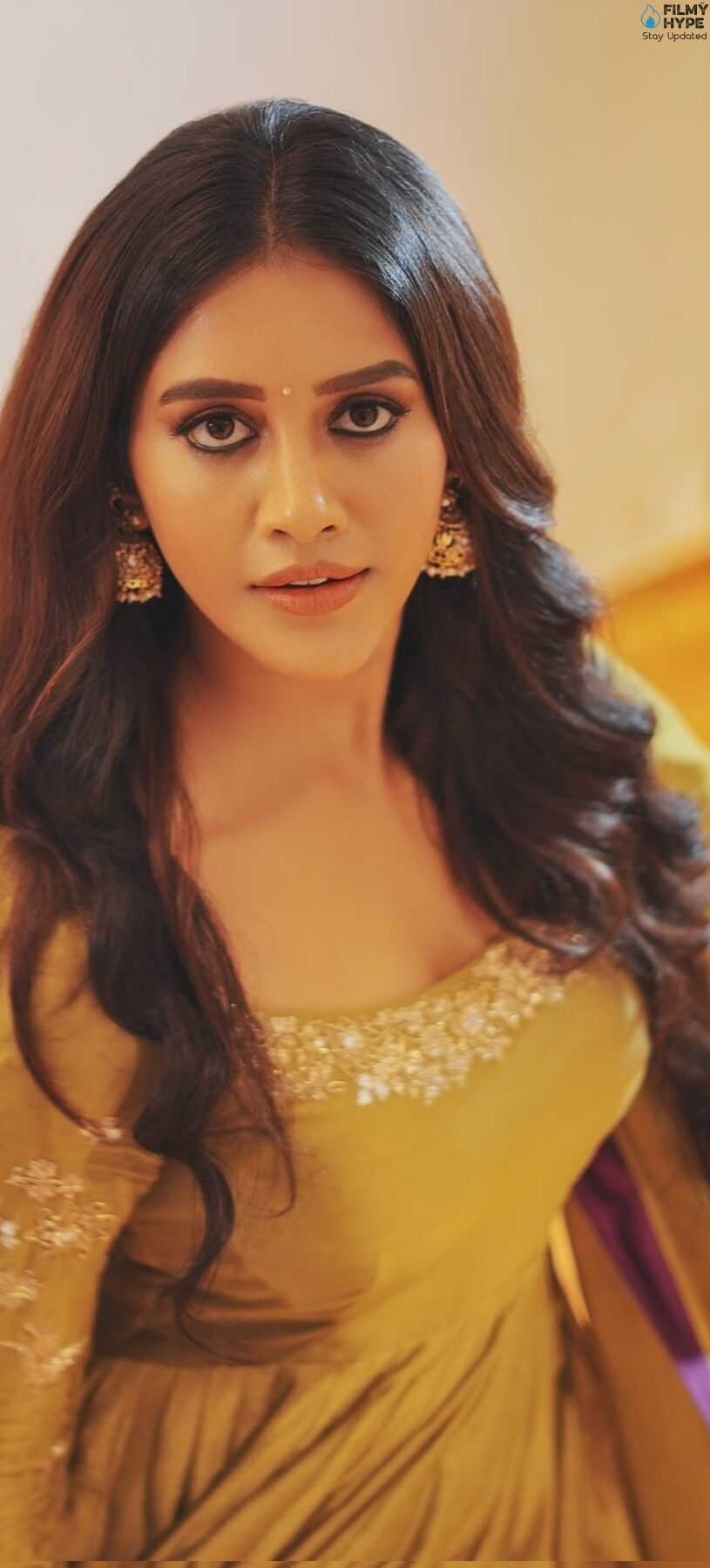 Nabha Natesh Beautiful Suit Pics 4