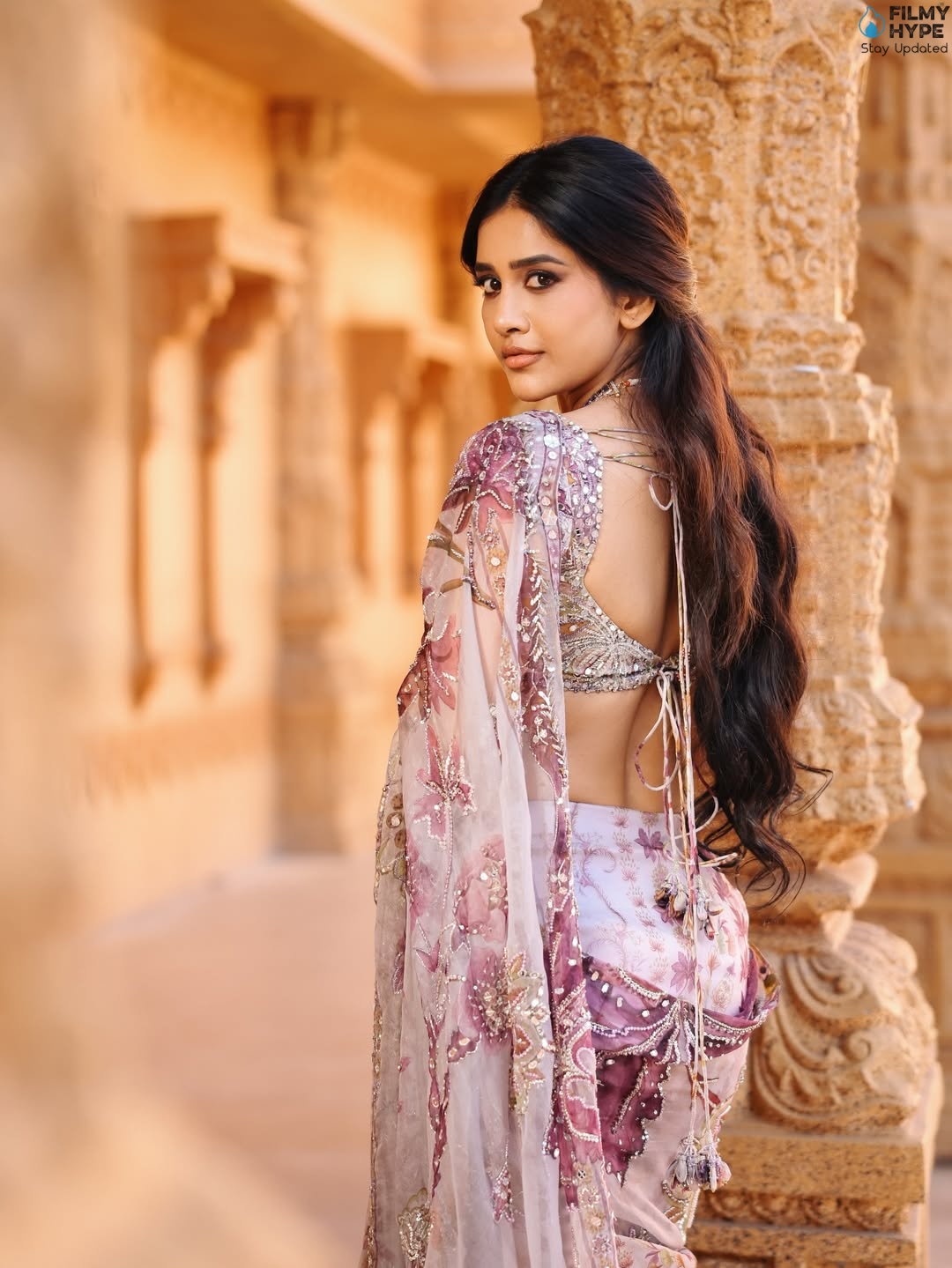 Nabha Natesh Cure Saree Pics 2