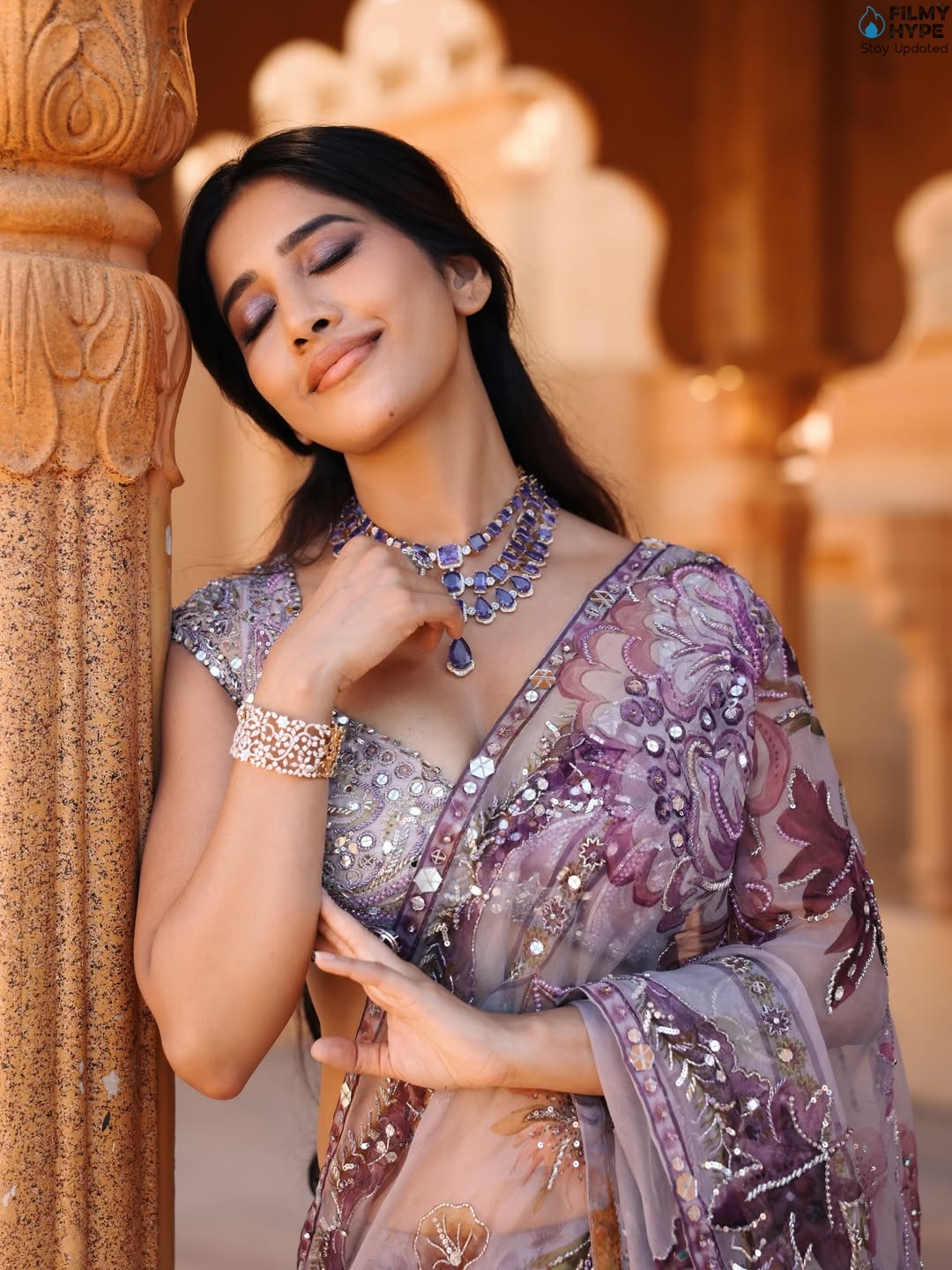 Nabha Natesh Cure Saree Pics 5