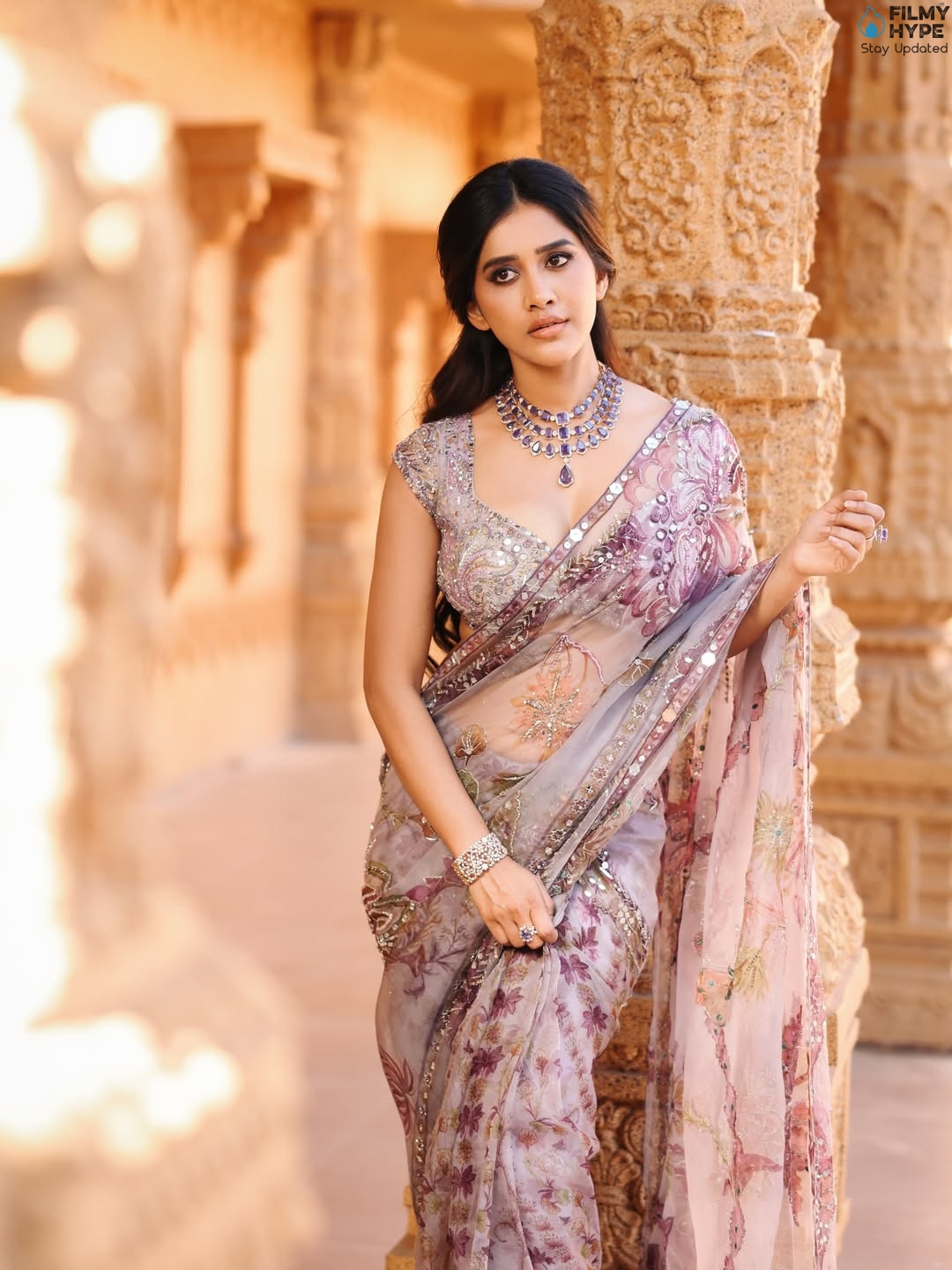 Nabha Natesh Cure Saree Pics 9