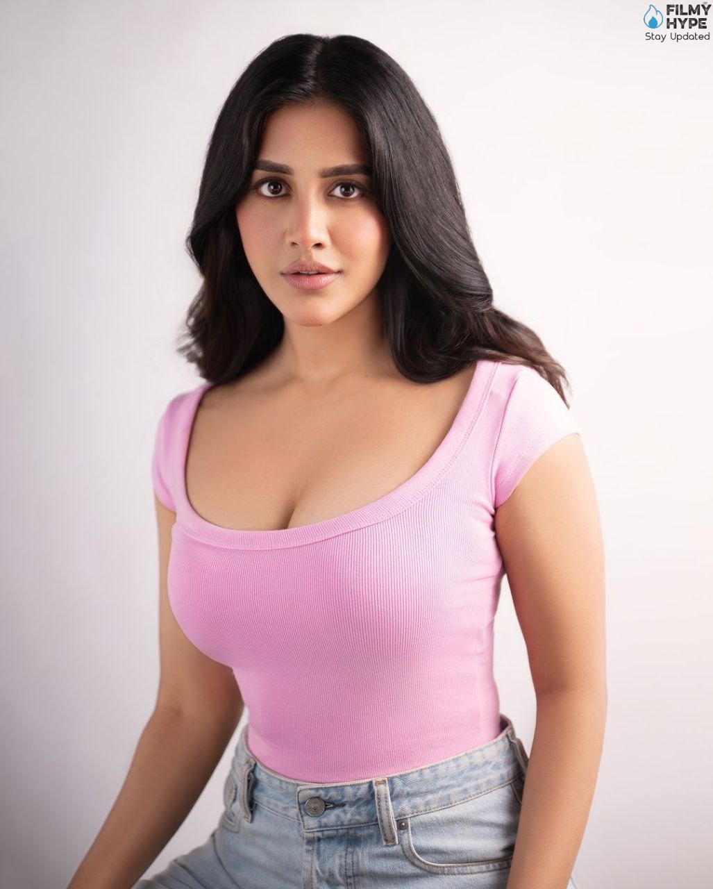 Nabha Natesh HD Pics 3