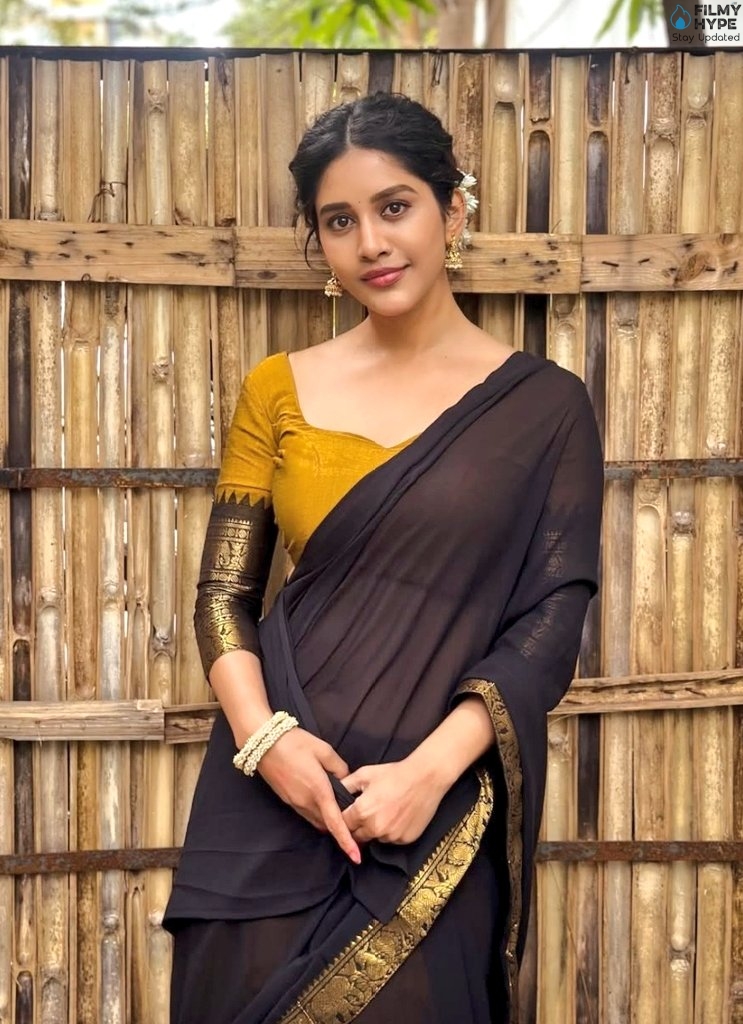 Nabha Natesh Saree 2