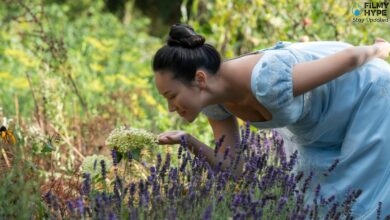 Bridgerton 4 Season Part 2