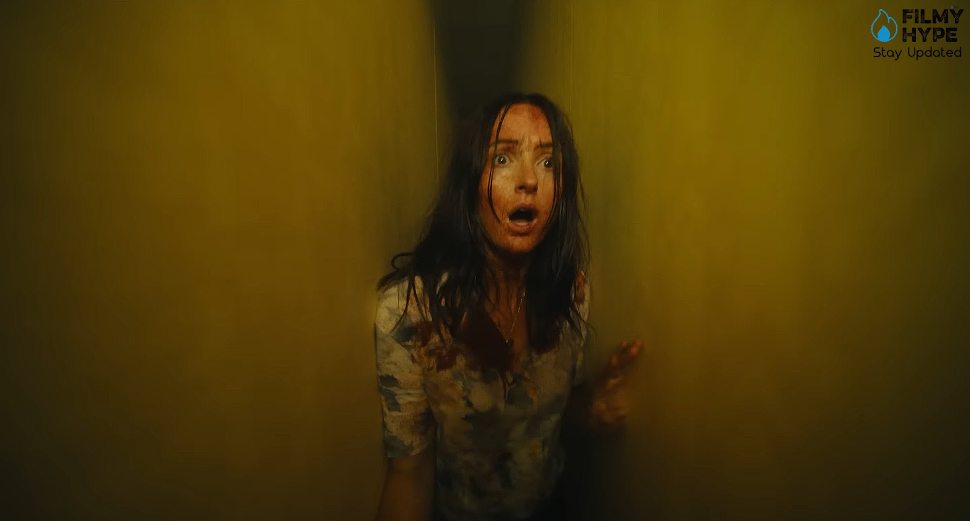 Backrooms Movie Analysis